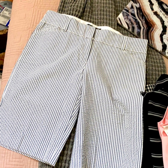 BCBG Maxazria white blue pinstripe shorts, size 8 - Picture 1 of 3